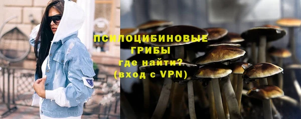 ешки Алексин
