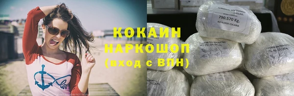 спиды Ладушкин