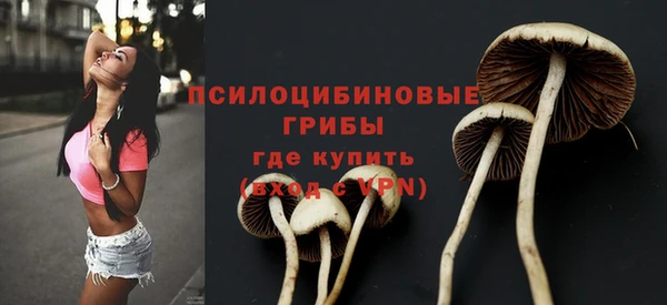 дурь Абинск