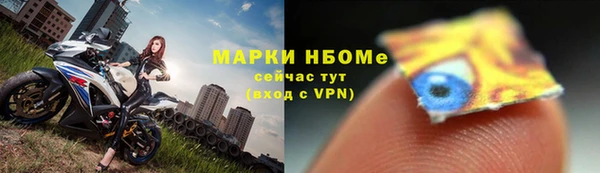 ешки Алексин