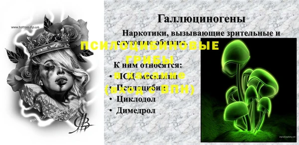 mix Абаза